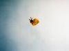 skydiving025